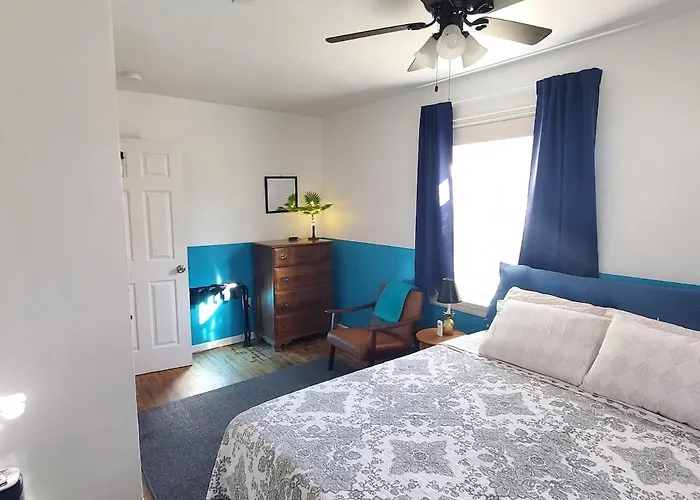 Welcome To North Hill Parrot House Pensacola