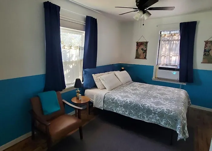Welcome To North Hill Parrot House Holiday home