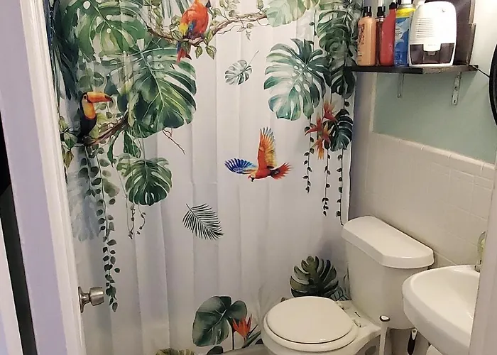 Welcome To North Hill Parrot House * Pensacola