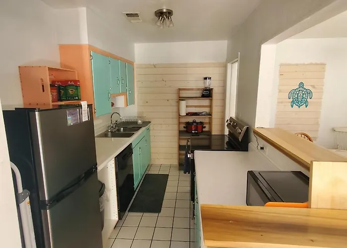 Welcome To North Hill Parrot House * Pensacola